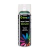 Spray Aqua Color 400ml Verde Botella