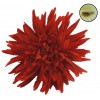 Cabeza de Crisantemo Ø16 cm Clip Rojo