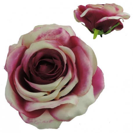 Cabeza de Rosa Ø15 cm Fucsia Crema