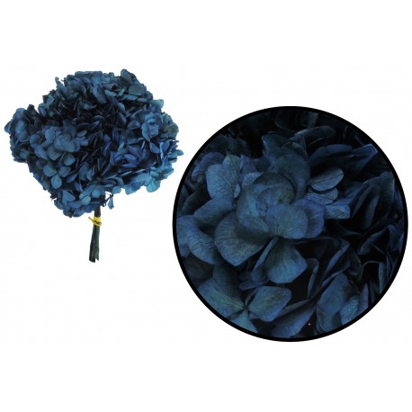 Hortensia Azul Preservada