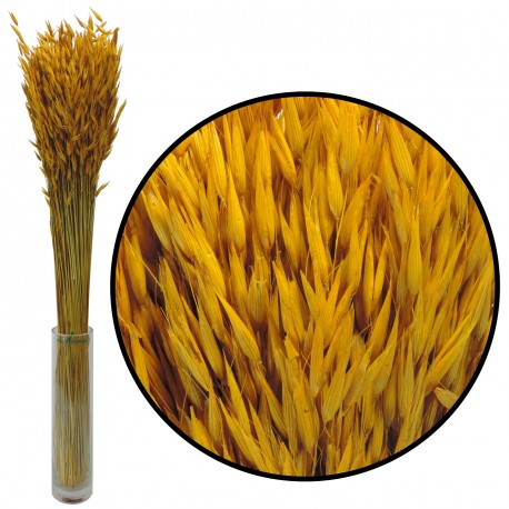 Avena Sativa Amarilla 200gr