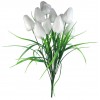 Ramo Tulipanes x10 Blanco